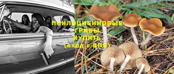 2c-b Краснотурьинск