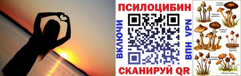 Псилоцибиновые грибы Magic Shrooms  мега вход  Называевск 